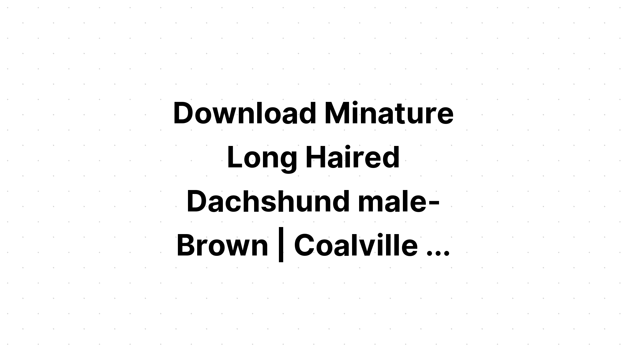 Download Dachshund Dog Long Hair Mandala SVG File